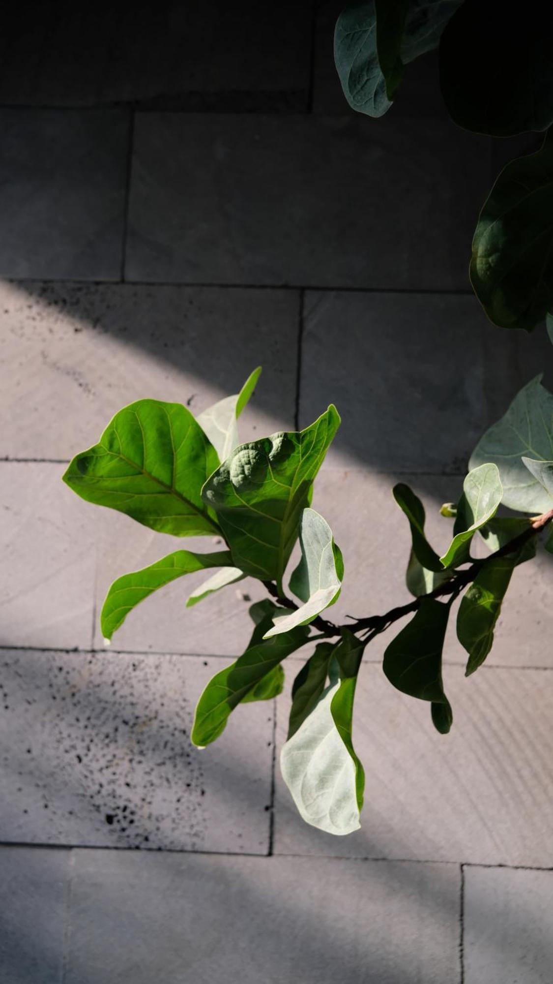 Marilyn Boutique Hotel Nha Trang Exterior photo